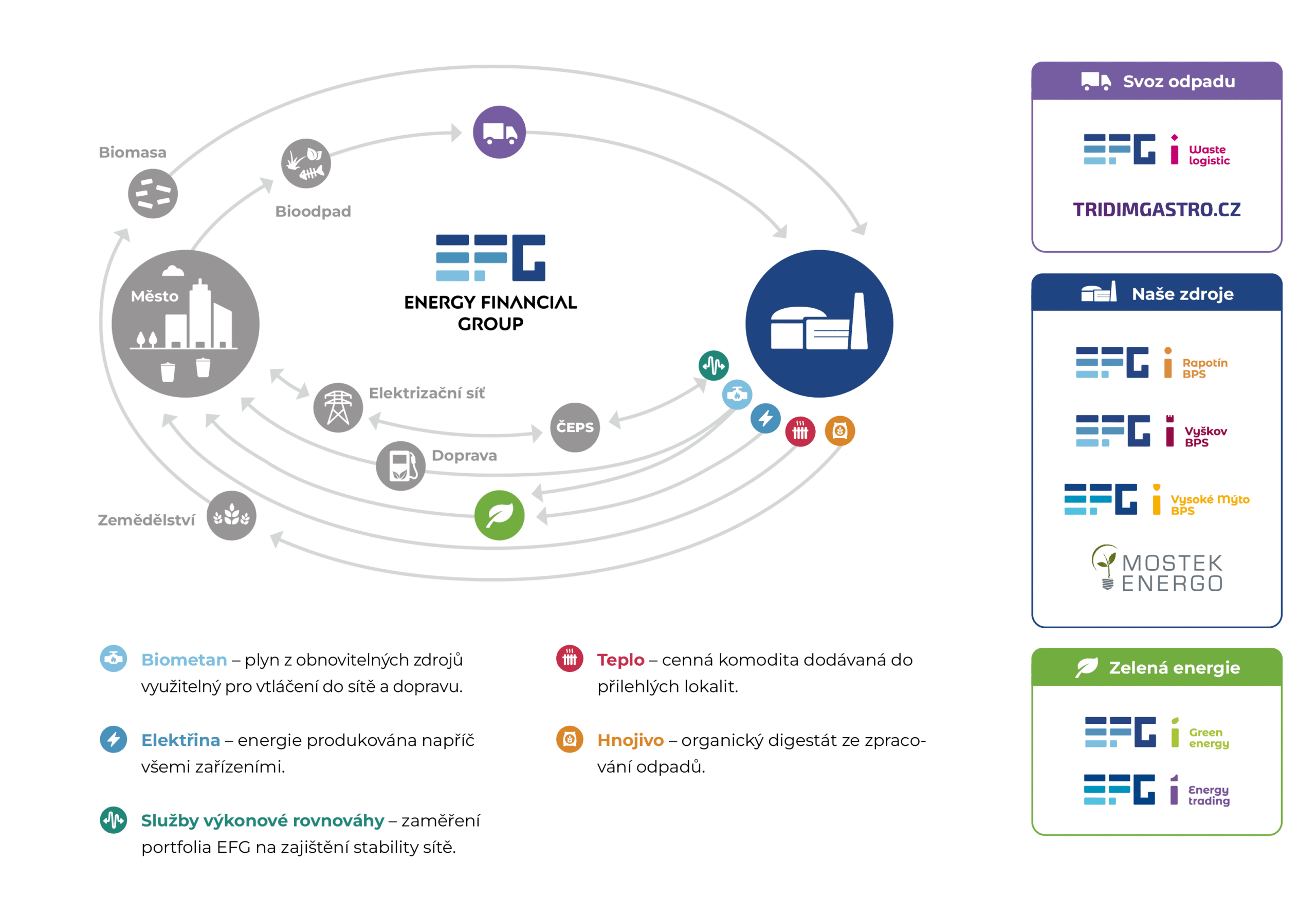 EFG_schema