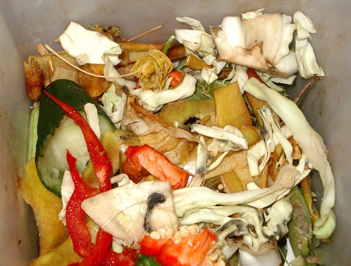 EFG Biodegradable waste